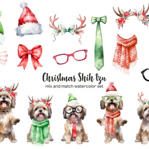 Aquarell Weihnachten Shih Tzu Clipart. Weihnachten Hunde ClipArt. Hund mit Nikolausmütze PNG. Weihnachten Welpe Clipart. Shih Tzu in Weihnachtsmütze