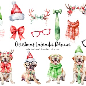 Watercolor Christmas labrador retriever clipart. Xmas labrador clip art. Retriever in Santa hat PNG. Christmas puppy dog clipart.