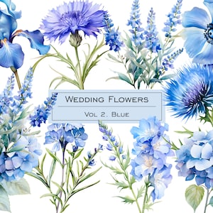 水彩画の青いウェディング フラワー クリップアート。パステル ブルーの花のクリップアート。青い色の植物の水彩画のアネモネ、ヤグルマギク、アイリス PNG
