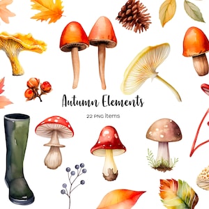 Watercolor mushrooms clipart. Watercolor autumn elements clip art. Forest autumn mushrooms, leaves and berries. Watercolor seasonal fall PNG