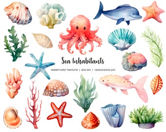 Akvarell Clipart med havsliv: Snäckor, koraller, sjöstjärnor (22 PNG) (digital nedladdning)