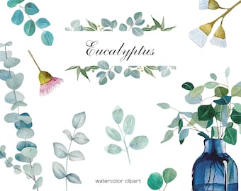 May include: Watercolor clipart featuring eucalyptus leaves and branches in various shades of green and blue. The clipart includes a single flower with pink petals and a bouquet of eucalyptus leaves in a blue vase. The text "Eucalyptus" is written in cursive at the top of the image.