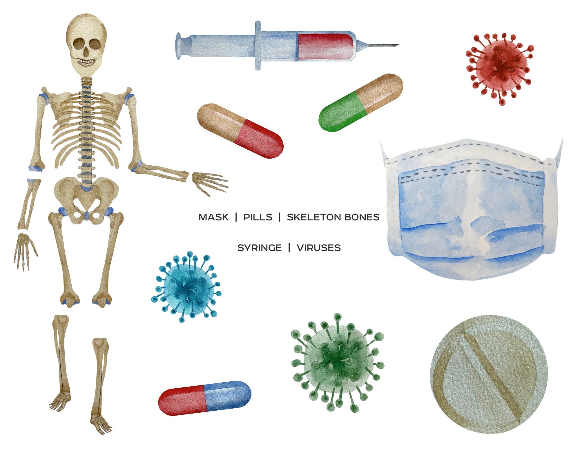 Watercolor Human Organs Clipart. Anatomy Human Body Parts PNG. Medical ...