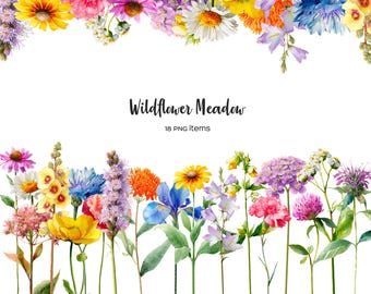 Watercolor wildflower meadow clipart. Spring wild flowers. Single Meadow flower. Garden flower