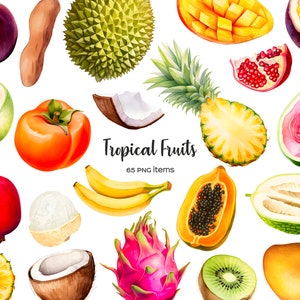 Clipart di frutta tropicale dell'acquerello. Clipart di frutti esotici 64 PNG. Set di piatti estivi con frutti tropicali papaia, banana, kiwi, durian, litchi