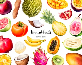 Akvarell tropisk frukt clipart: Exotisk mat PNG-set (64 artiklar) (digital nedladdning)