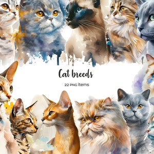 Watercolor cat breeds clipart. Cats clip art. Cat types 22 PNG. Cat wall art. Cat lover gift. Small medium large cat. 22 cats illustration