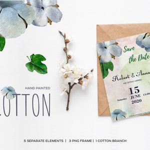 Watercolor cotton clipart. Cotton bouquet, blossom, branch. Hand drawn watercolor cotton flower clip art. Floral watercolor cotton frame.
