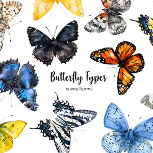 Clipart de types papillon aquarelle. 12 papillons. Tableau des espèces de papillons. Types de papillons 12 PNG. Clipart insectes.