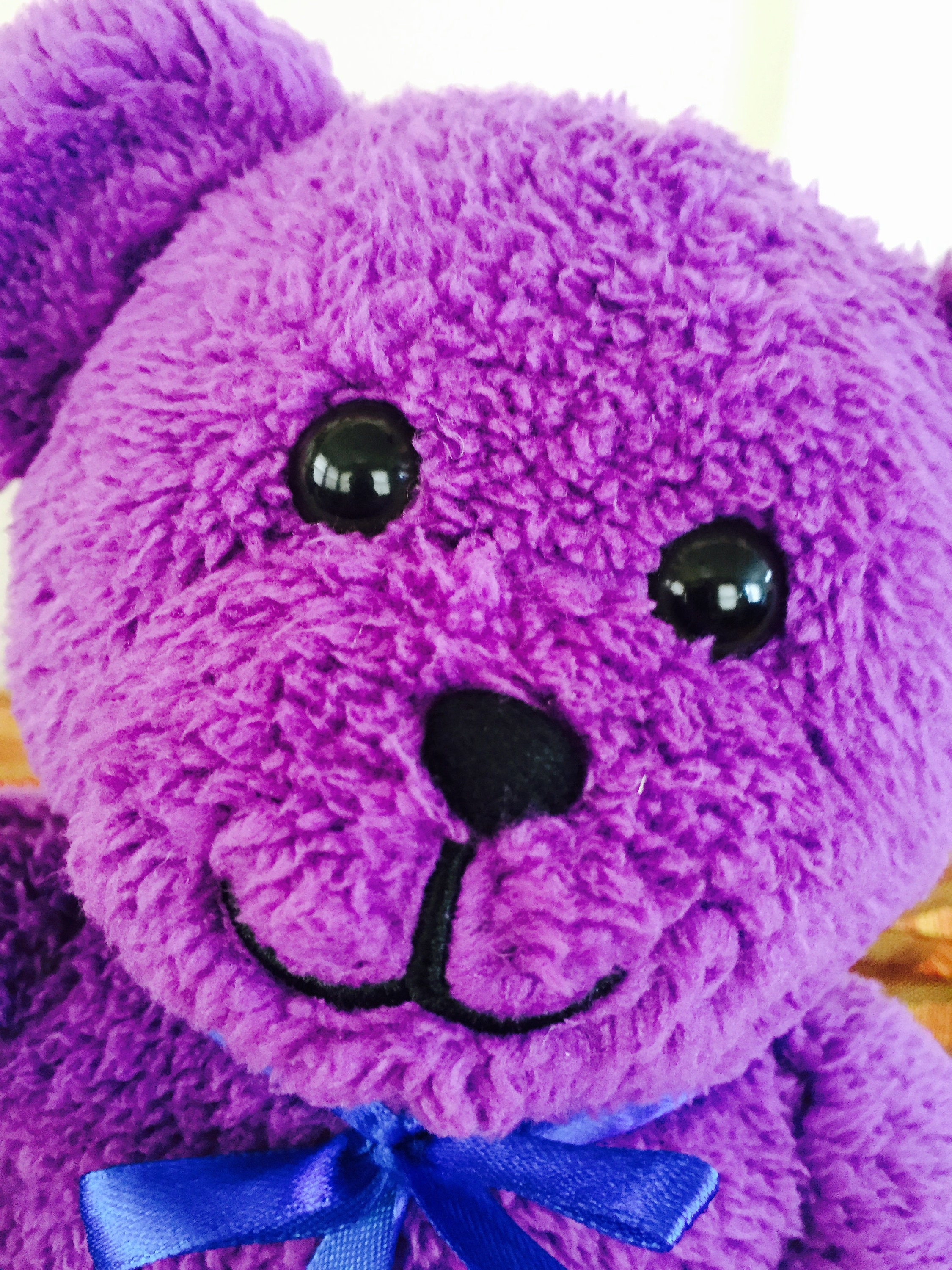 Purple Teddy Bear
