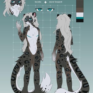 May include: A digital illustration of a snow leopard character named Lauren. Lauren has white fur with black spots and a long, white tail. The illustration shows Lauren from the front and back, with a close-up of Lauren's face at the top. The text "Lauren" is written in a decorative font at the top of the illustration, along with the text "he/she snow leopard".