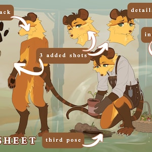 Scheda di riferimento del complesso OC furry // Commissioni furry