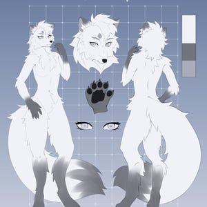 May include: A digital illustration of a white arctic fox character named Winter. The illustration shows the character from the front, side, and back, with a close-up of the face and paws. The character has a white coat with gray markings on the tail and paws. The illustration is on a blue background with a grid pattern.