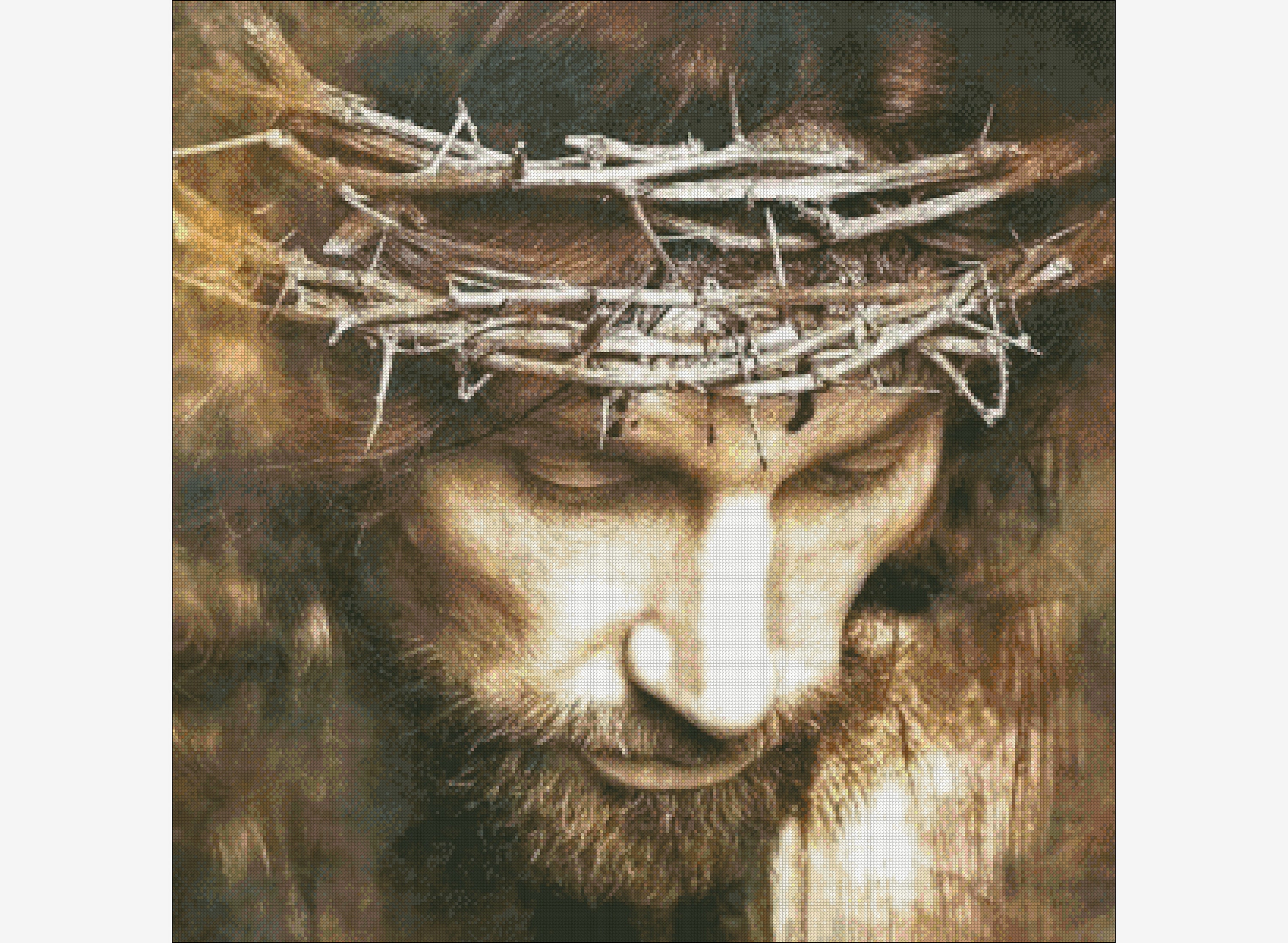 Who Put The Crown Of Thorns On Jesus Who Put The Crown Of Thorns On Jesus