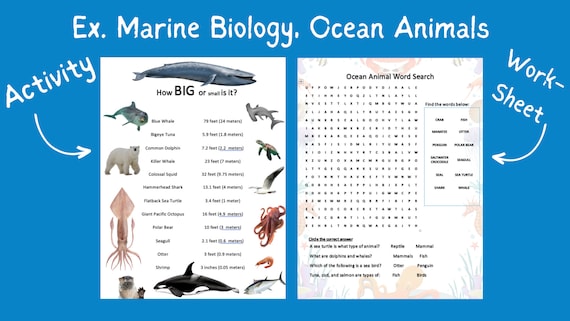 Marine Biology Worksheets Pdf
