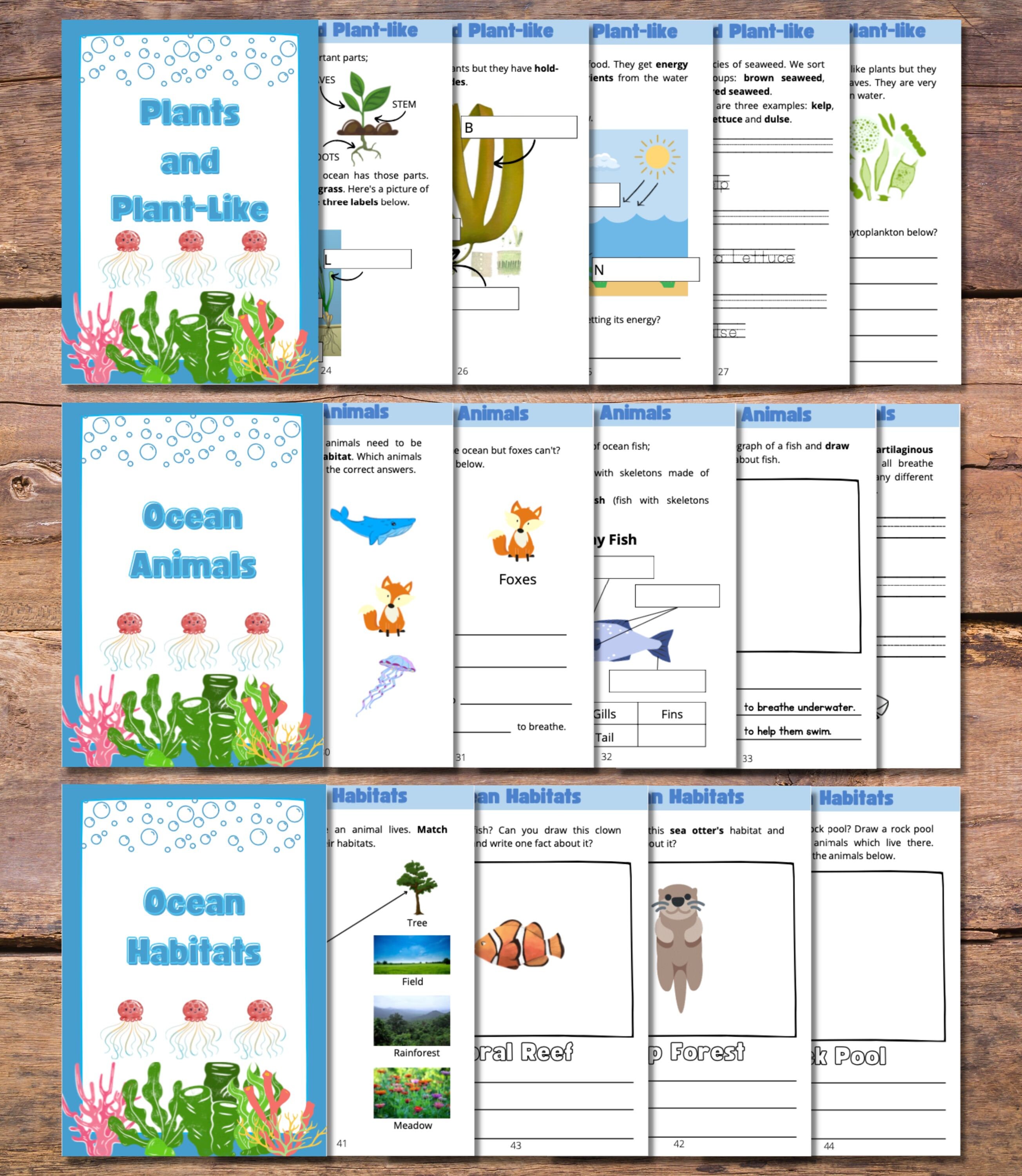 Digital Ocean Workbook Marine Science Book 1 for Kids ages 5 Marine