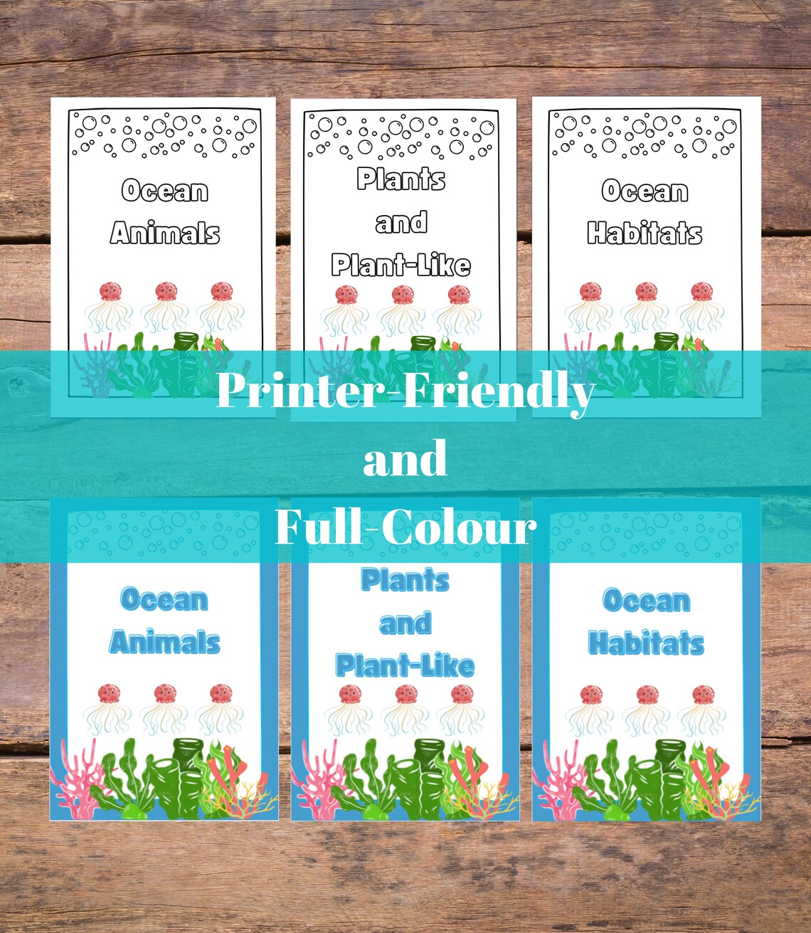 Digital Ocean Workbook Marine Science Book 1 for Kids ages 5 Marine