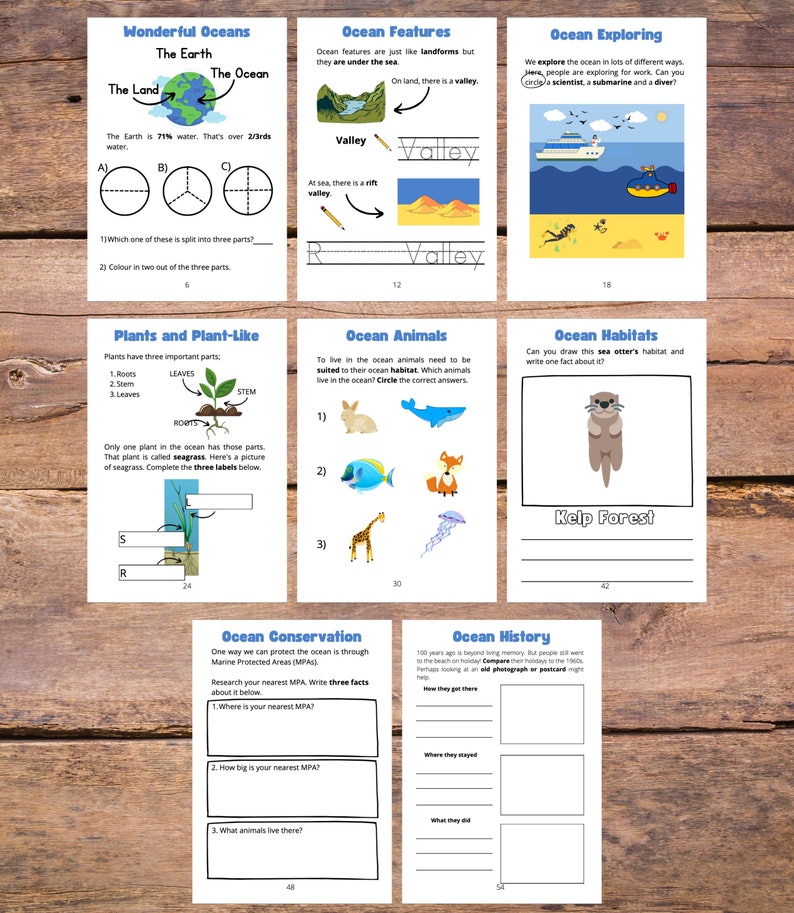 Digital Ocean Workbook Marine Science Book 1 for Kids ages 5 Marine