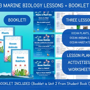 海洋生物学キッズレッスン：海の植物、動物、生息地（5歳以上）（PDF）