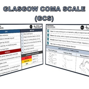 Badge Buddy - Glasgow Coma Scale - Etsy