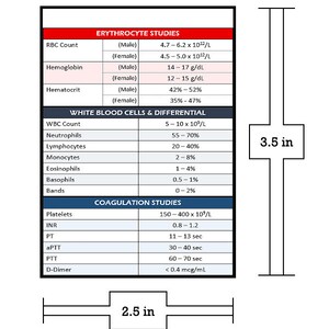 Lab Values Digital Download Badge Buddy - Etsy