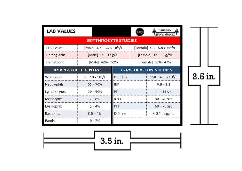 Badge Buddy Lab Values - Etsy