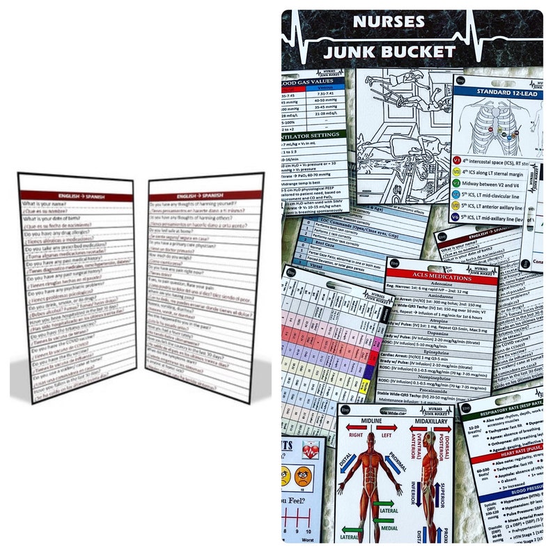 Badge Buddy English to Spanish Translation Etsy