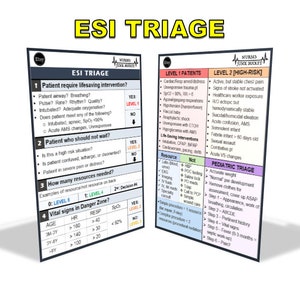 ESI Triage Digital Download Badge Buddy
