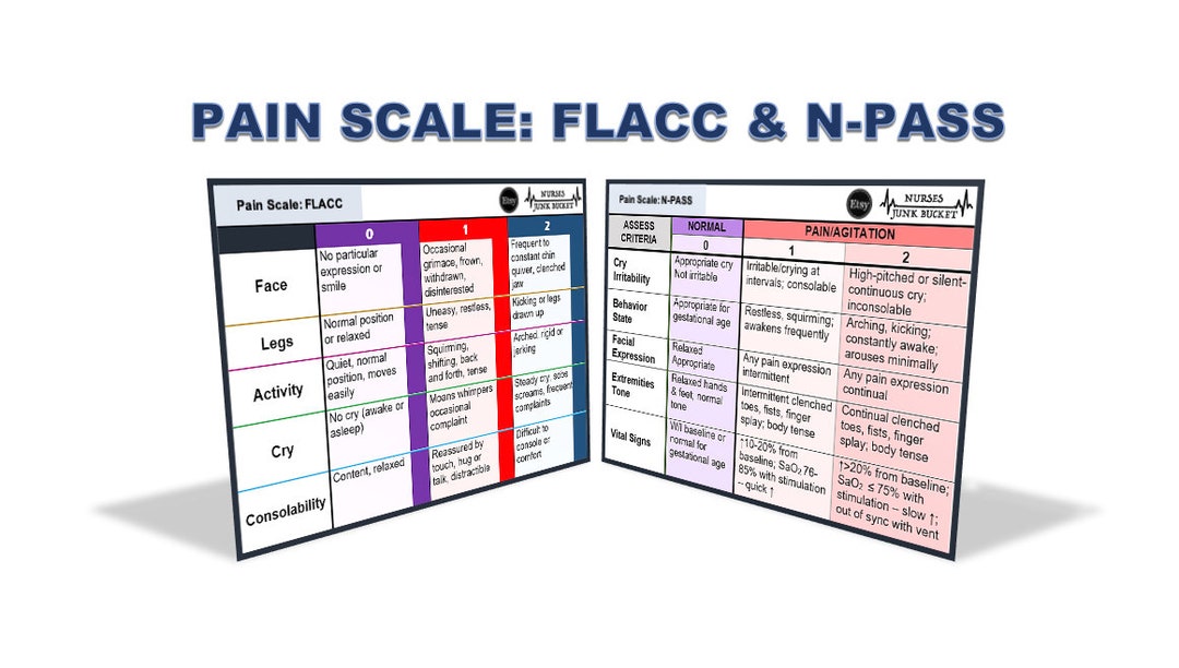 pain-scale-flacc-npass-digital-download-badge-buddy-etsy
