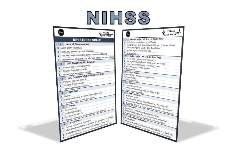 NIHSS Digital Download Badge Buddy Etsy