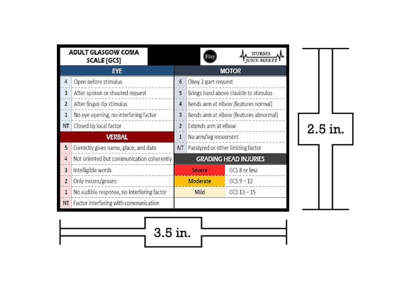 Badge Buddy Glasgow Coma Scale - Etsy