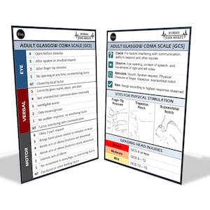 Badge Buddy Glasgow Coma Scale - Etsy