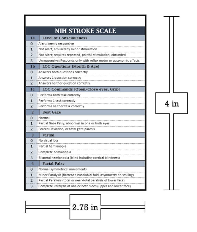 NIHSS Digital Download Badge Buddy Etsy