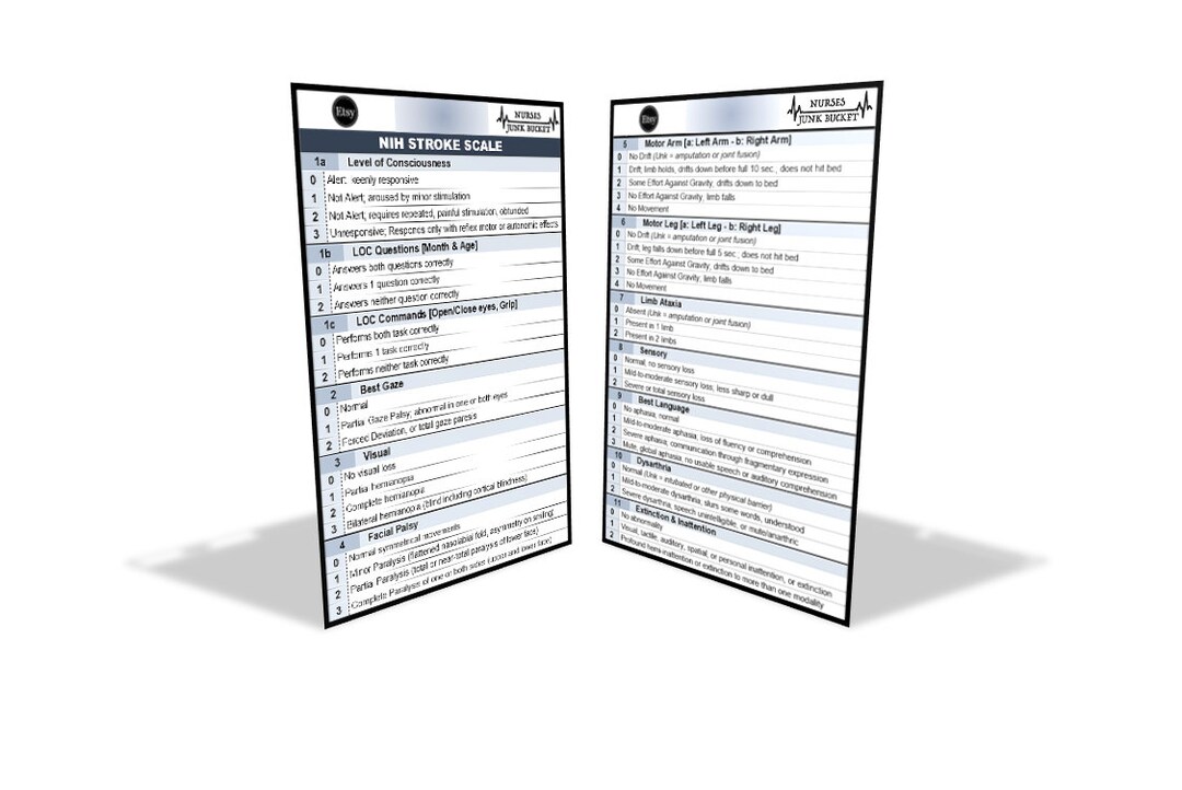 NIHSS Digital Download Badge Buddy Etsy