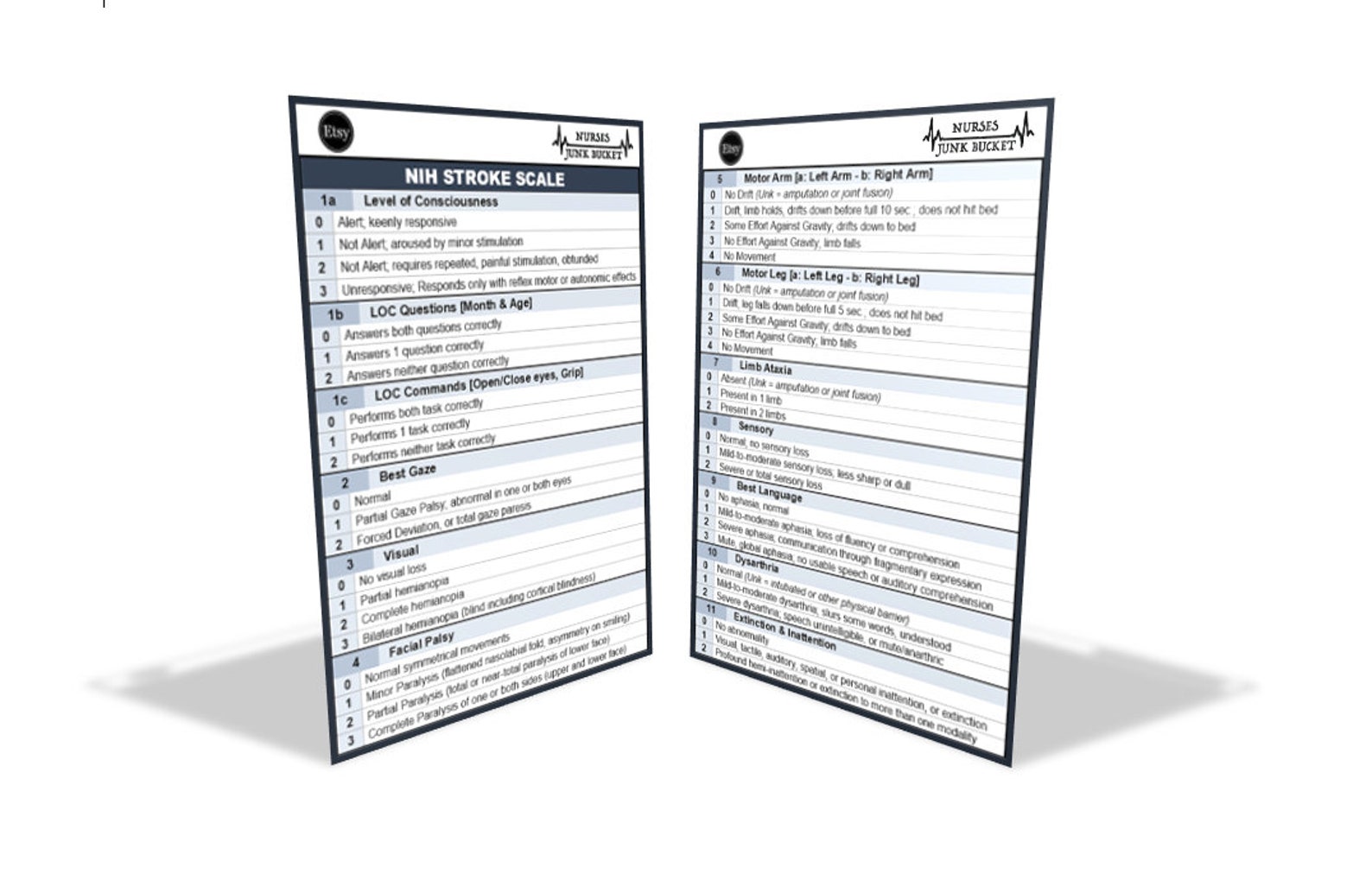 NIHSS Digital Download Badge Buddy Etsy