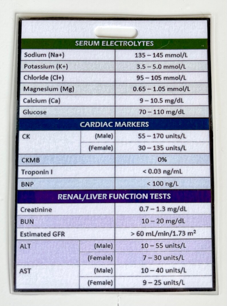 Badge Buddy Lab Values - Etsy