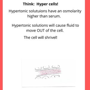 Understanding IV Solutions l nursing study aides l study notes l medical concepts image 4