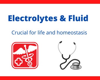 Fundamental Nursing Concepts, Electrolytes and Fluids, study aide, study guide, study notes,