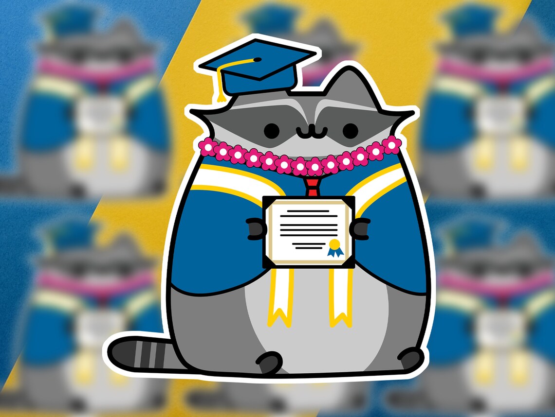 Rejoicing Raccoon at Graduation, Pack of 4, Fun Gifts for UCSD ...