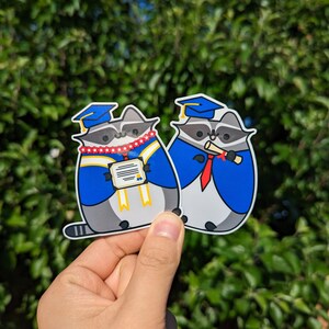 Rejoicing Raccoon at Graduation, Pack of 4, Fun Gifts for UCSD ...