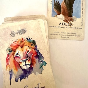 Cartas de tarô Spirit Animal de Dee - Design moderno com significado impresso - ideal para cartas de adivinhação iniciantes e avançadas