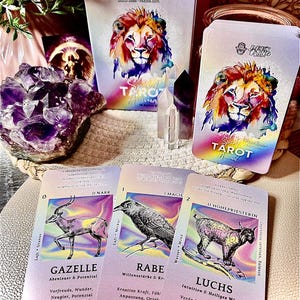 Tarô Animal Rainbow Spirit de Dee - Design moderno com significado impresso - ideal para cartas de adivinhação iniciantes e avançadas