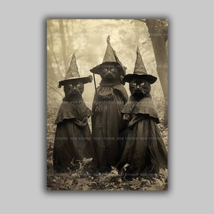 Three Witch Cats Art Print Vintage Halloween Wall Decor Black Cat Witch Costume Gothic Animal Portrait Spooky Forest Funny Wiccan Gift G22