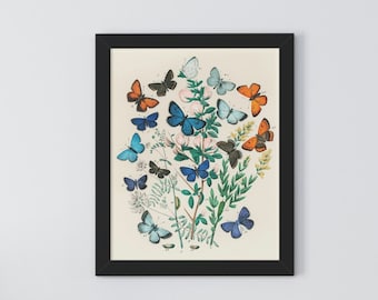 Butterfly Art Print, Botanical Art, Flower Print, Flower and Butterfly print, Colorful Butterfly Print, Vintage Butterfly Print, Boho Decor