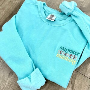 May include: A light blue sweatshirt with the words "saltwater seashells sunshine" embroidered on the front in a rainbow color scheme.