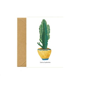 Cactus Euphorbia Carte de vœux