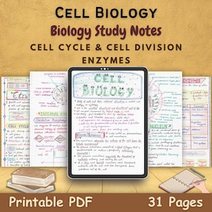 Cell biology | Cell Cycle | Cell division | Enzymes - Grade 11 Biology Handwritten color Study Notes | Study Guide | Digital Download PDF