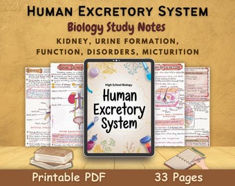 The Renal System Study Guide - Etsy Canada