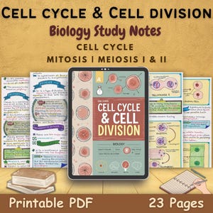 Cell Cycle and Cell Division | Mitosis and Meiosis I & II  | Aesthetic Study Notes for As A-level Biology AP High School | Study Guide | PDF