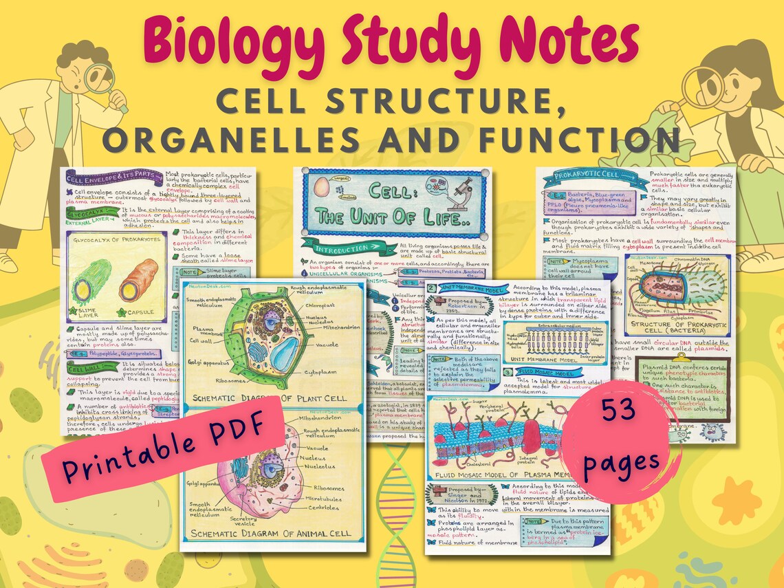Cell Structure Organelles and Function Eukaryotic Cell and - Etsy